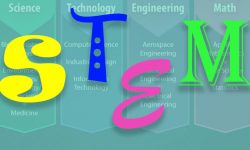 stem